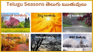 Telugu Seasons Ruthuvulu తెలుగు ఋతువులు